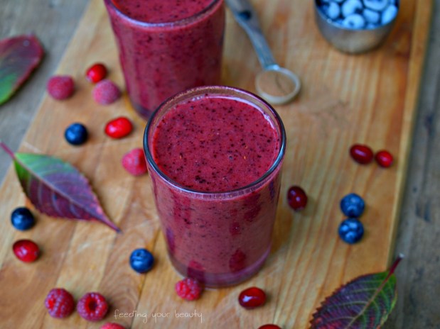 spiced-cranberry-berry