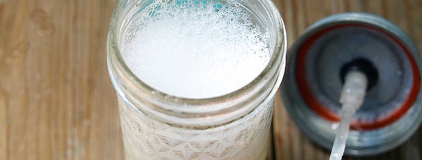 DIY Luxurious Lather Face Wash with Aloe